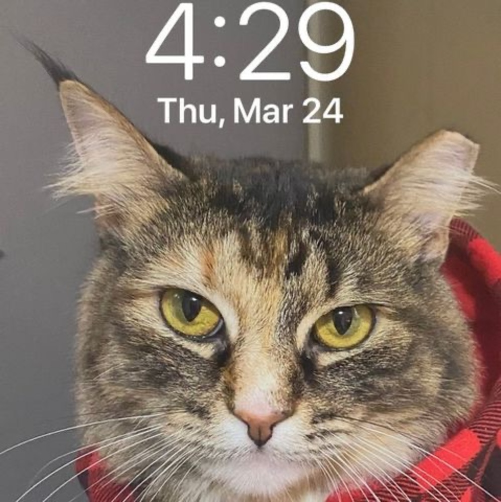 Meet your Posher, Bernie